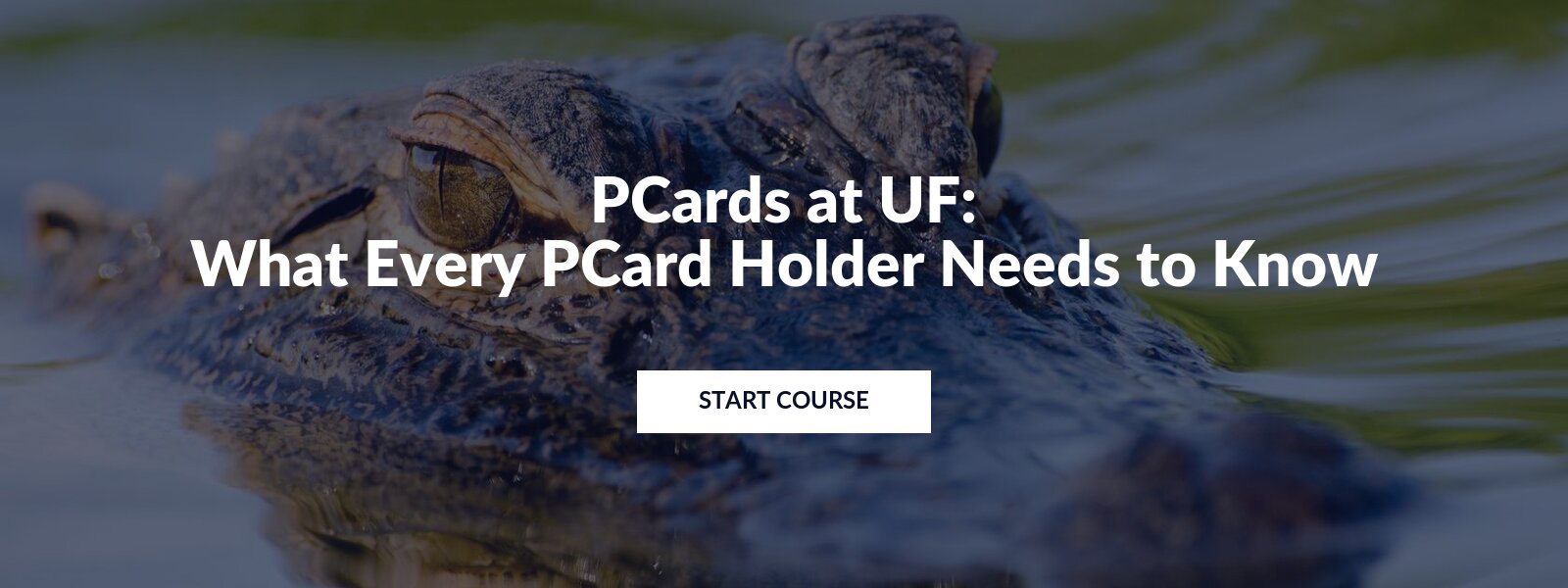 The UGO500 course title slide: PCards at UF: What Every PCard Holder Needs to Know.