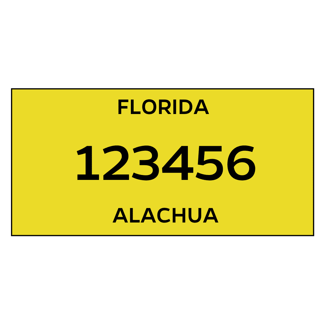 A Florida license-plate graphic used in one of the course's PCard misuse scenarios.