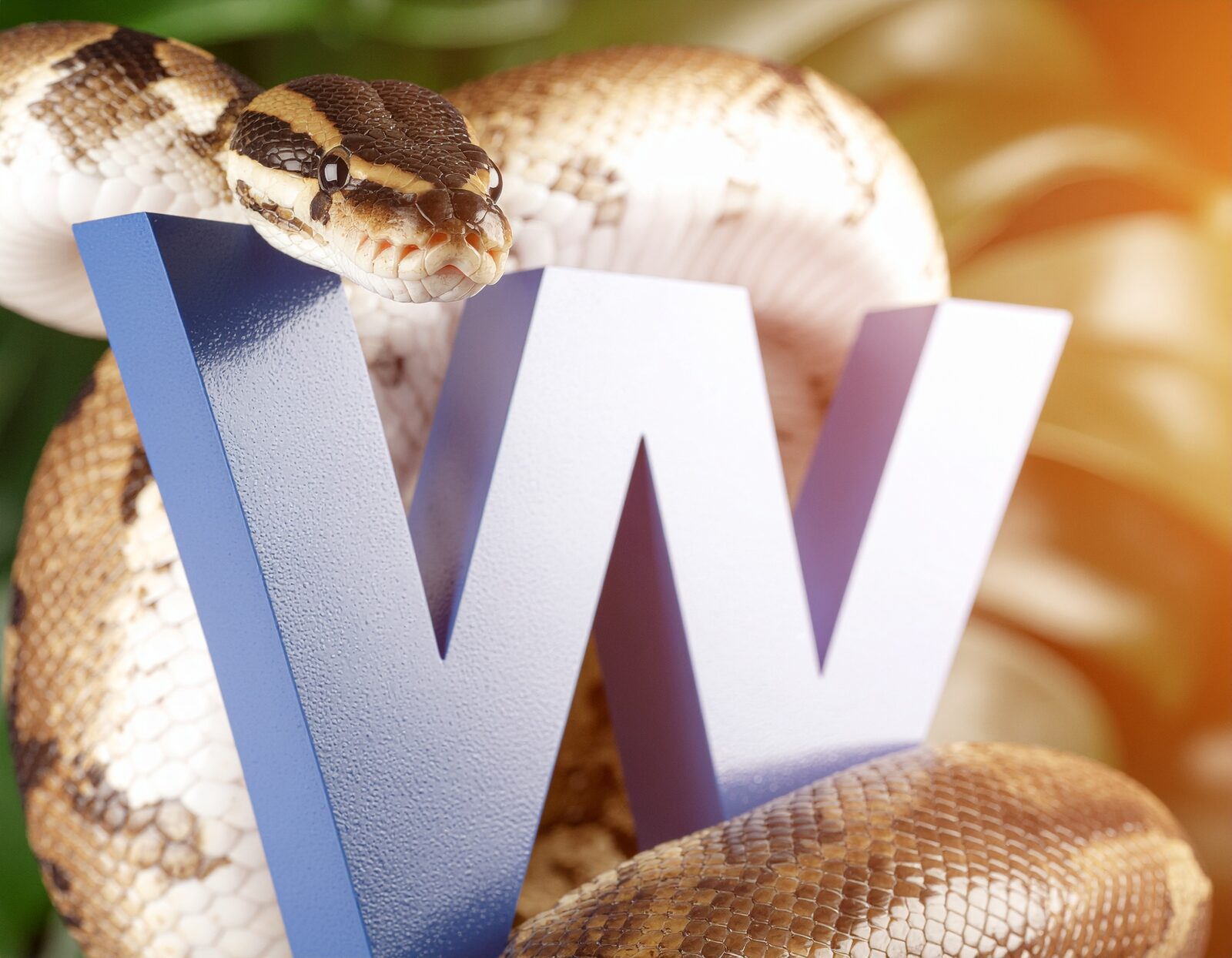 A python coiled around a large blue letter W — the Python-and-AI conversion pipeline.